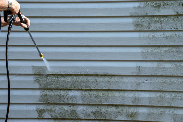 Affordable Siding Repair and Maintenance Services in Shark River Hills, NJ